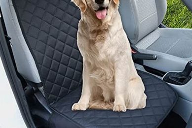 Best Dog Car Seat Covers Front: Protect Your Car My Caring Dog – Tips, Stories, and Care Guides for Loving Pet Owners Best Dog Car Seat Covers Front: Protect Your Car | My Caring Dog – Tips, Stories, and Care Guides for Loving Pet Owners