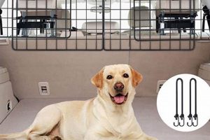 Top 5 Best Dog Car Barriers for Safe Travels My Caring Dog – Tips, Stories, and Care Guides for Loving Pet Owners Top 5 Best Dog Car Barriers for Safe Travels | My Caring Dog – Tips, Stories, and Care Guides for Loving Pet Owners