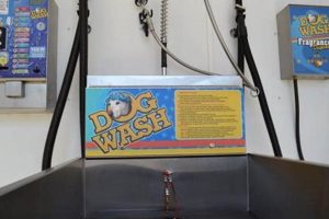 Best Glen Burnie Car Wash & Dog Wash Services My Caring Dog – Tips, Stories, and Care Guides for Loving Pet Owners Best Glen Burnie Car Wash & Dog Wash Services | My Caring Dog – Tips, Stories, and Care Guides for Loving Pet Owners