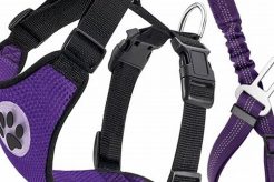 Top Lukovee Dog Car Safety Harness: Best Picks My Caring Dog – Tips, Stories, and Care Guides for Loving Pet Owners Top Lukovee Dog Car Safety Harness: Best Picks | My Caring Dog – Tips, Stories, and Care Guides for Loving Pet Owners