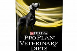 Best Neuro Care Dog Food: Top Brands & Guide My Caring Dog – Tips, Stories, and Care Guides for Loving Pet Owners Best Neuro Care Dog Food: Top Brands & Guide | My Caring Dog – Tips, Stories, and Care Guides for Loving Pet Owners