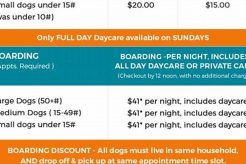 Dog Day Care Cost Per Day: 2024 Pricing Guide My Caring Dog – Tips, Stories, and Care Guides for Loving Pet Owners Dog Day Care Cost Per Day: 2024 Pricing Guide | My Caring Dog – Tips, Stories, and Care Guides for Loving Pet Owners