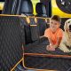 Best Car Seat Dog Protectors: Ultimate Guide | My Caring Dog – Tips, Stories, and Care Guides for Loving Pet Owners
