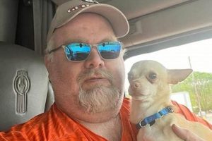 Taken Dog My Caring Dog – Tips, Stories, and Care Guides for Loving Pet Owners Taken Dog | My Caring Dog – Tips, Stories, and Care Guides for Loving Pet Owners