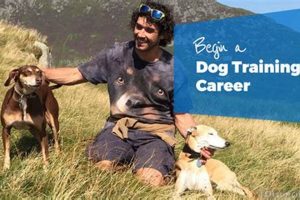 Complete Dog Training Career Guide & Info My Caring Dog – Tips, Stories, and Care Guides for Loving Pet Owners Complete Dog Training Career Guide & Info | My Caring Dog – Tips, Stories, and Care Guides for Loving Pet Owners