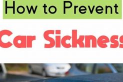 Top Tips: Prevent Dog Car Sickness Effectively My Caring Dog – Tips, Stories, and Care Guides for Loving Pet Owners Top Tips: Prevent Dog Car Sickness Effectively | My Caring Dog – Tips, Stories, and Care Guides for Loving Pet Owners