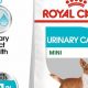 Urinary Care Dog Food Recipes | My Caring Dog – Tips, Stories, and Care Guides for Loving Pet Owners