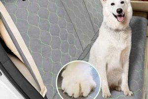 Remove Dog Urine From Car Seats: Easy Guide My Caring Dog – Tips, Stories, and Care Guides for Loving Pet Owners Remove Dog Urine From Car Seats: Easy Guide | My Caring Dog – Tips, Stories, and Care Guides for Loving Pet Owners