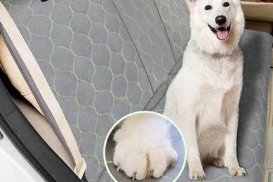 Remove Dog Urine From Car Seats: Easy Guide My Caring Dog – Tips, Stories, and Care Guides for Loving Pet Owners Remove Dog Urine From Car Seats: Easy Guide | My Caring Dog – Tips, Stories, and Care Guides for Loving Pet Owners