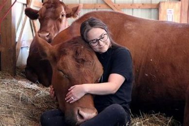 Best Animal Therapy Near Me | Find Car Dog Therapists My Caring Dog – Tips, Stories, and Care Guides for Loving Pet Owners Best Animal Therapy Near Me | Find Car Dog Therapists | My Caring Dog – Tips, Stories, and Care Guides for Loving Pet Owners