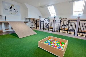 Luxury Dog Care | Pets Hotel & Resort My Caring Dog – Tips, Stories, and Care Guides for Loving Pet Owners Luxury Dog Care | Pets Hotel & Resort | My Caring Dog – Tips, Stories, and Care Guides for Loving Pet Owners