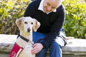 Best Service Dogs for the Hard of Hearing: A Guide My Caring Dog – Tips, Stories, and Care Guides for Loving Pet Owners Best Service Dogs for the Hard of Hearing: A Guide | My Caring Dog – Tips, Stories, and Care Guides for Loving Pet Owners