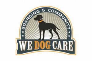 The Best We Dog Care Tips & Tricks My Caring Dog – Tips, Stories, and Care Guides for Loving Pet Owners The Best We Dog Care Tips & Tricks | My Caring Dog – Tips, Stories, and Care Guides for Loving Pet Owners