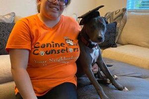 Certified Canine Counselors: Car Dog Therapy My Caring Dog – Tips, Stories, and Care Guides for Loving Pet Owners Certified Canine Counselors: Car Dog Therapy | My Caring Dog – Tips, Stories, and Care Guides for Loving Pet Owners