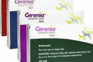 Best Over-the-Counter Car Sickness Meds for Dogs My Caring Dog – Tips, Stories, and Care Guides for Loving Pet Owners Best Over-the-Counter Car Sickness Meds for Dogs | My Caring Dog – Tips, Stories, and Care Guides for Loving Pet Owners