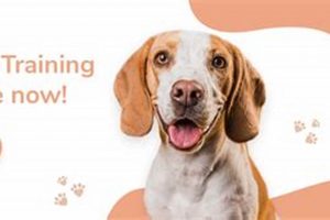 Find & Train Cardiac Alert Dogs: Top Resources My Caring Dog – Tips, Stories, and Care Guides for Loving Pet Owners Find & Train Cardiac Alert Dogs: Top Resources | My Caring Dog – Tips, Stories, and Care Guides for Loving Pet Owners