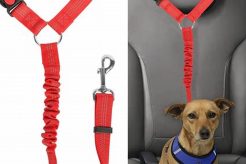 Best Dog Car Belt Harnesses for Safe Travel My Caring Dog – Tips, Stories, and Care Guides for Loving Pet Owners Best Dog Car Belt Harnesses for Safe Travel | My Caring Dog – Tips, Stories, and Care Guides for Loving Pet Owners