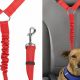 Best Dog Car Belt Harnesses for Safe Travel | My Caring Dog – Tips, Stories, and Care Guides for Loving Pet Owners