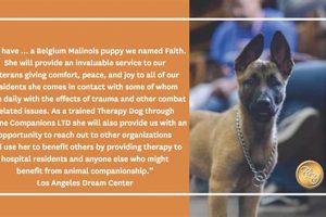 Canine Companions Ltd My Caring Dog – Tips, Stories, and Care Guides for Loving Pet Owners Canine Companions Ltd | My Caring Dog – Tips, Stories, and Care Guides for Loving Pet Owners