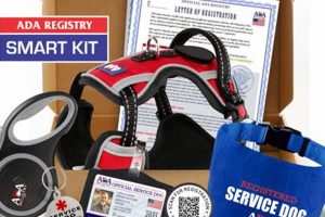 Service Dog ADA Registry: Myth vs. Fact My Caring Dog – Tips, Stories, and Care Guides for Loving Pet Owners Service Dog ADA Registry: Myth vs. Fact | My Caring Dog – Tips, Stories, and Care Guides for Loving Pet Owners