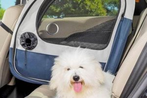 Large Dog Crate For Car Backseat My Caring Dog – Tips, Stories, and Care Guides for Loving Pet Owners Large Dog Crate For Car Backseat | My Caring Dog – Tips, Stories, and Care Guides for Loving Pet Owners