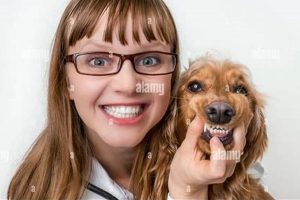 Happy Smiling Dog Pet Care Services My Caring Dog – Tips, Stories, and Care Guides for Loving Pet Owners Happy Smiling Dog Pet Care Services | My Caring Dog – Tips, Stories, and Care Guides for Loving Pet Owners