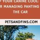 My Dog Pants In The Car | My Caring Dog – Tips, Stories, and Care Guides for Loving Pet Owners
