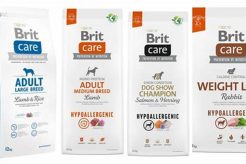 Best Brit Care Dog Food Review & Guide My Caring Dog – Tips, Stories, and Care Guides for Loving Pet Owners Best Brit Care Dog Food Review & Guide | My Caring Dog – Tips, Stories, and Care Guides for Loving Pet Owners