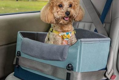 Best Car Seats for Dogs: Safe & Secure Travel My Caring Dog – Tips, Stories, and Care Guides for Loving Pet Owners Best Car Seats for Dogs: Safe & Secure Travel | My Caring Dog – Tips, Stories, and Care Guides for Loving Pet Owners