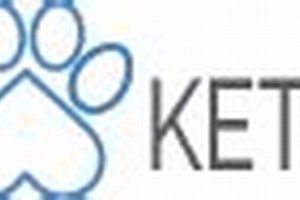 Essential Ketch Dog Care Tips & Advice My Caring Dog – Tips, Stories, and Care Guides for Loving Pet Owners Essential Ketch Dog Care Tips & Advice | My Caring Dog – Tips, Stories, and Care Guides for Loving Pet Owners