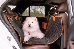 Best BMW Dog Car Seats: Safe & Secure My Caring Dog – Tips, Stories, and Care Guides for Loving Pet Owners Best BMW Dog Car Seats: Safe & Secure | My Caring Dog – Tips, Stories, and Care Guides for Loving Pet Owners