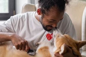 Essential Guide to After Spay Dog Care My Caring Dog – Tips, Stories, and Care Guides for Loving Pet Owners Essential Guide to After Spay Dog Care | My Caring Dog – Tips, Stories, and Care Guides for Loving Pet Owners