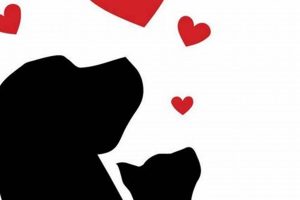 Rescue Dogs: Because You Care Animal Rescue My Caring Dog – Tips, Stories, and Care Guides for Loving Pet Owners Rescue Dogs: Because You Care Animal Rescue | My Caring Dog – Tips, Stories, and Care Guides for Loving Pet Owners