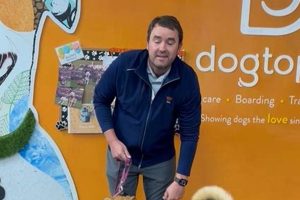 Top Dog Day Care in Tysons Corner VA: Best Options My Caring Dog – Tips, Stories, and Care Guides for Loving Pet Owners Top Dog Day Care in Tysons Corner VA: Best Options | My Caring Dog – Tips, Stories, and Care Guides for Loving Pet Owners