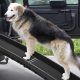 Portable Dog Ramp For Car | My Caring Dog – Tips, Stories, and Care Guides for Loving Pet Owners