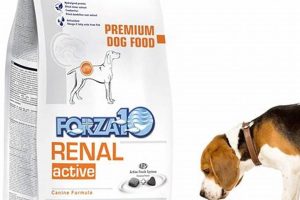 Best Renal Care Dog Food: Top Diets My Caring Dog – Tips, Stories, and Care Guides for Loving Pet Owners Best Renal Care Dog Food: Top Diets | My Caring Dog – Tips, Stories, and Care Guides for Loving Pet Owners