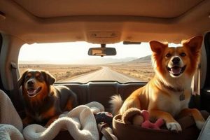 Ultimate Guide: Dog Car Travel Long Distance My Caring Dog – Tips, Stories, and Care Guides for Loving Pet Owners Ultimate Guide: Dog Car Travel Long Distance | My Caring Dog – Tips, Stories, and Care Guides for Loving Pet Owners