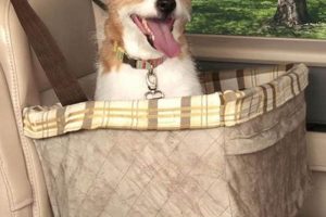 Top Solvit Dog Car Booster Seats: Safe & Comfy My Caring Dog – Tips, Stories, and Care Guides for Loving Pet Owners Top Solvit Dog Car Booster Seats: Safe & Comfy | My Caring Dog – Tips, Stories, and Care Guides for Loving Pet Owners