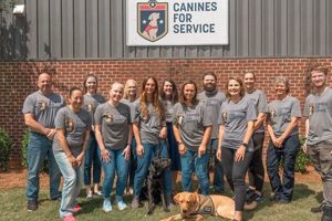 Canines For Service My Caring Dog – Tips, Stories, and Care Guides for Loving Pet Owners Canines For Service | My Caring Dog – Tips, Stories, and Care Guides for Loving Pet Owners