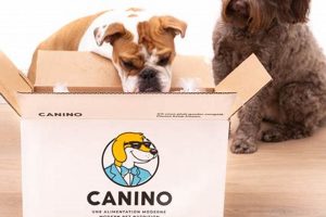 Top Canino Dog Accessories for Car Travel My Caring Dog – Tips, Stories, and Care Guides for Loving Pet Owners Top Canino Dog Accessories for Car Travel | My Caring Dog – Tips, Stories, and Care Guides for Loving Pet Owners