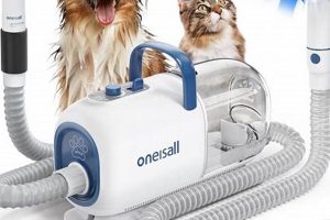 Best Car Vacuum for Dog Hair: Top Picks & Guide My Caring Dog – Tips, Stories, and Care Guides for Loving Pet Owners Best Car Vacuum for Dog Hair: Top Picks & Guide | My Caring Dog – Tips, Stories, and Care Guides for Loving Pet Owners