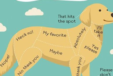 Best Car Accessories for My Dogs My Caring Dog – Tips, Stories, and Care Guides for Loving Pet Owners Best Car Accessories for My Dogs | My Caring Dog – Tips, Stories, and Care Guides for Loving Pet Owners