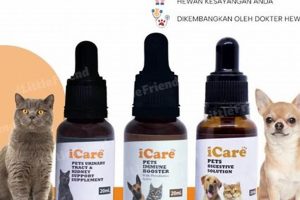 Best iCare Dog Tips & Tricks for Car Travel My Caring Dog – Tips, Stories, and Care Guides for Loving Pet Owners Best iCare Dog Tips & Tricks for Car Travel | My Caring Dog – Tips, Stories, and Care Guides for Loving Pet Owners