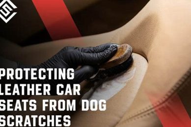 Dog Scratches On Leather Car Seats My Caring Dog – Tips, Stories, and Care Guides for Loving Pet Owners Dog Scratches On Leather Car Seats | My Caring Dog – Tips, Stories, and Care Guides for Loving Pet Owners