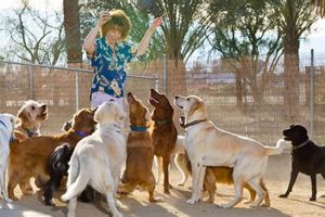 Top Dog Day Care in Indio, CA My Caring Dog – Tips, Stories, and Care Guides for Loving Pet Owners Top Dog Day Care in Indio, CA | My Caring Dog – Tips, Stories, and Care Guides for Loving Pet Owners