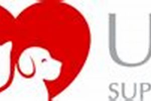 Car Safety & United Support Animals Gear My Caring Dog – Tips, Stories, and Care Guides for Loving Pet Owners Car Safety & United Support Animals Gear | My Caring Dog – Tips, Stories, and Care Guides for Loving Pet Owners