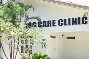 Best Dog Day Care Centers in Sri Lanka: Find Your Pawfect Match My Caring Dog – Tips, Stories, and Care Guides for Loving Pet Owners Best Dog Day Care Centers in Sri Lanka: Find Your Pawfect Match | My Caring Dog – Tips, Stories, and Care Guides for Loving Pet Owners