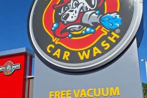 Best Dirty Dog's Car Wash in Melbourne My Caring Dog – Tips, Stories, and Care Guides for Loving Pet Owners Best Dirty Dog's Car Wash in Melbourne | My Caring Dog – Tips, Stories, and Care Guides for Loving Pet Owners