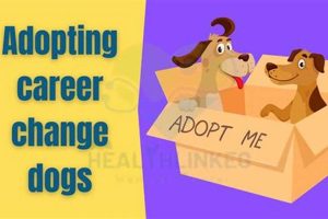 A Guide to Adopting Career Change Dogs: Tips & Advice My Caring Dog – Tips, Stories, and Care Guides for Loving Pet Owners A Guide to Adopting Career Change Dogs: Tips & Advice | My Caring Dog – Tips, Stories, and Care Guides for Loving Pet Owners