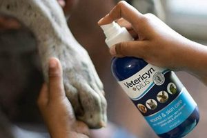 Best Dog Wound Care Products & Supplies My Caring Dog – Tips, Stories, and Care Guides for Loving Pet Owners Best Dog Wound Care Products & Supplies | My Caring Dog – Tips, Stories, and Care Guides for Loving Pet Owners